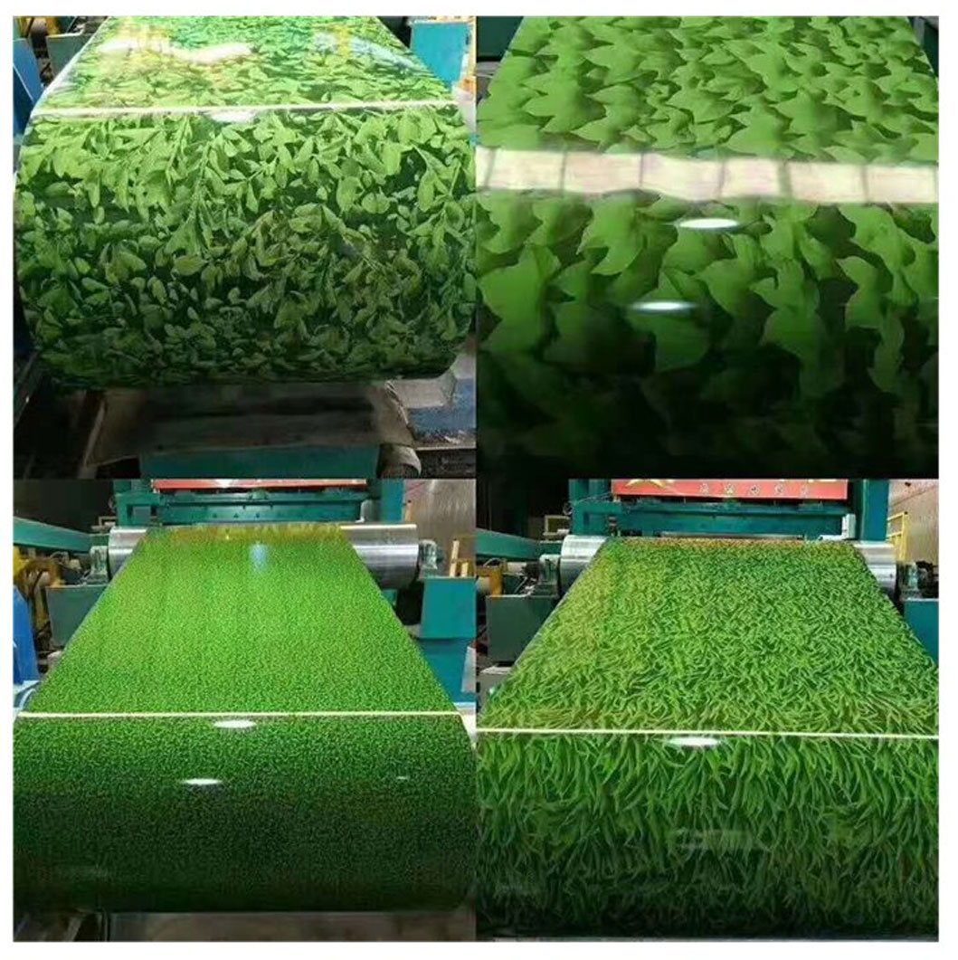 DX54D+Z PPGI PPGL Prepainted Galvanized Steel Coil